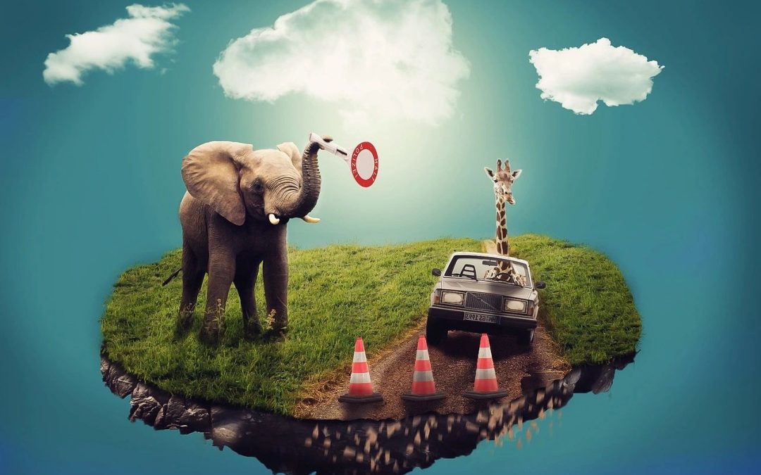 Don’t wait till it’s too late to fulfil your real dreams.